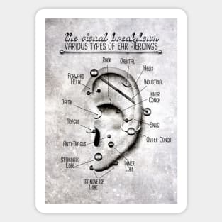 Ear Piercing Chart, Black and Grey Grunge Sticker